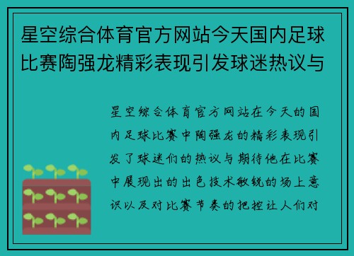 星空综合体育官方网站今天国内足球比赛陶强龙精彩表现引发球迷热议与期待
