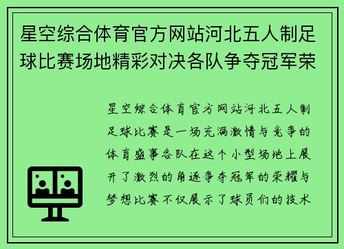 星空综合体育官方网站河北五人制足球比赛场地精彩对决各队争夺冠军荣耀与梦想