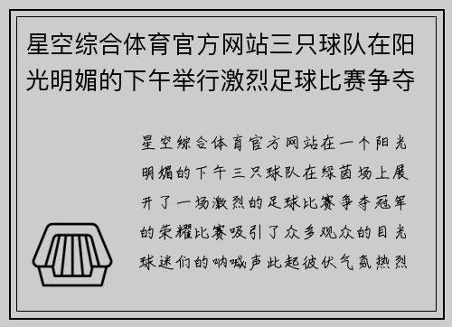 星空综合体育官方网站三只球队在阳光明媚的下午举行激烈足球比赛争夺冠军荣耀