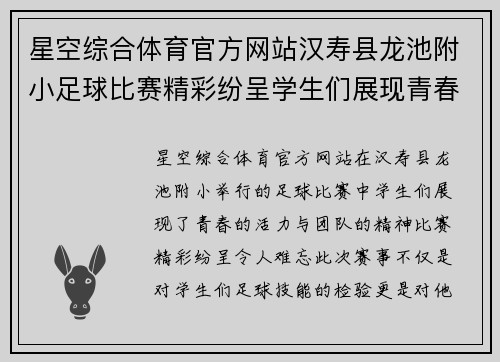星空综合体育官方网站汉寿县龙池附小足球比赛精彩纷呈学生们展现青春活力与团队精神